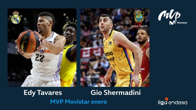Shermadini-Tavares, MVP Enero