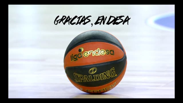 13 gracias muy especiales a Endesa