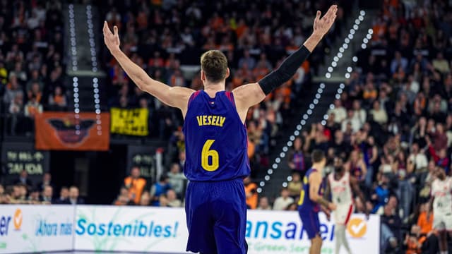 Vesely anuncia que se retira al final de temporada