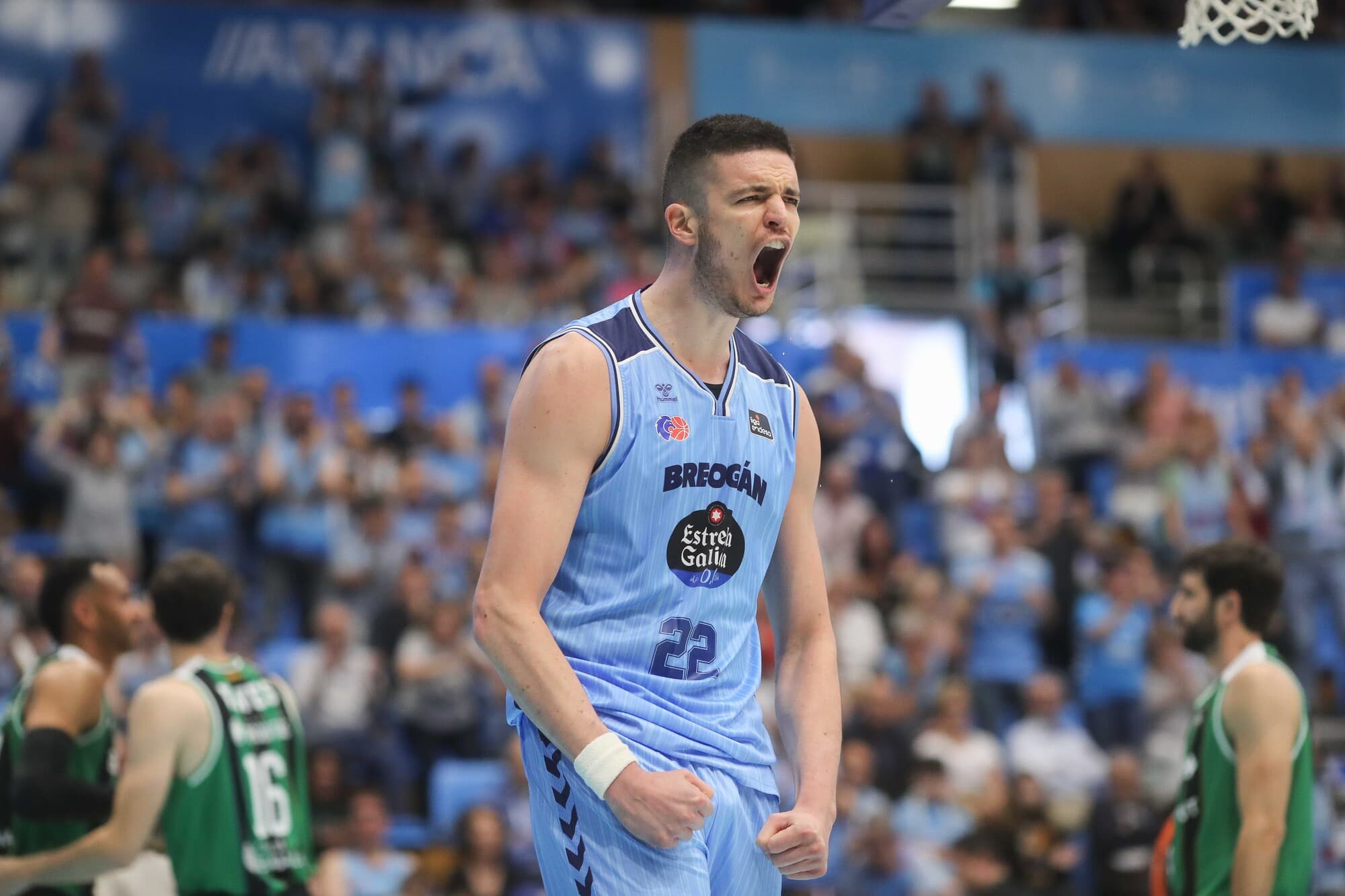 Danko Brankovic celebra una canasta