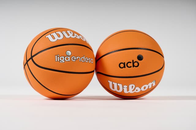 Aplazado el Asisa Joventut-MoraBanc Andorra