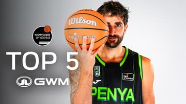 Top5 de GWM