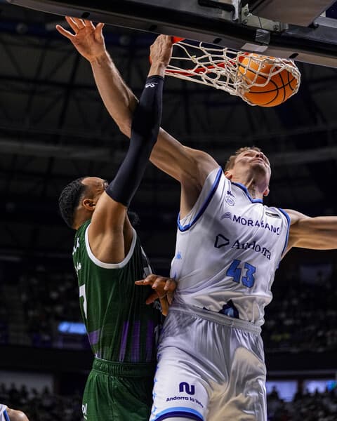 😤 ¡NOUA posteriza a Radocevic!