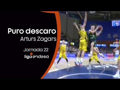 Jugadón de Arturs Zagars