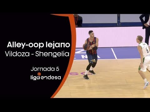 Conexión lejana Vildoza-Shengelia