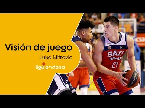 Luka Mitrovic: Visión de juego