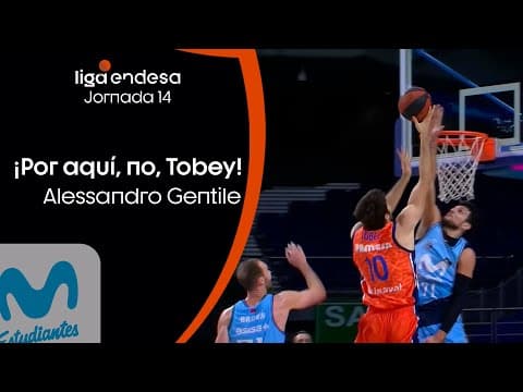 Gentile le dice "no" a Tobey