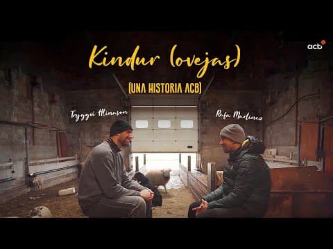 Kindur (Ovejas)