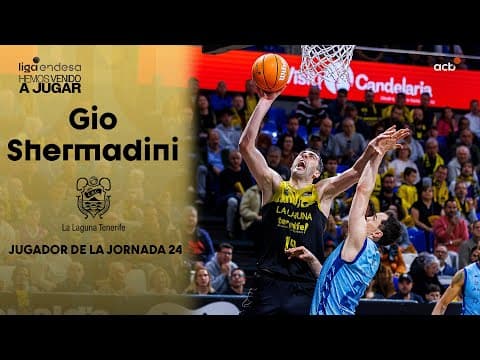 Giorgi Shermadini, Jugador de la Jornada 24