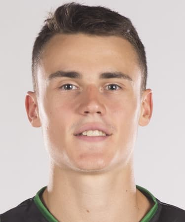 N. Dimitrijevic photo