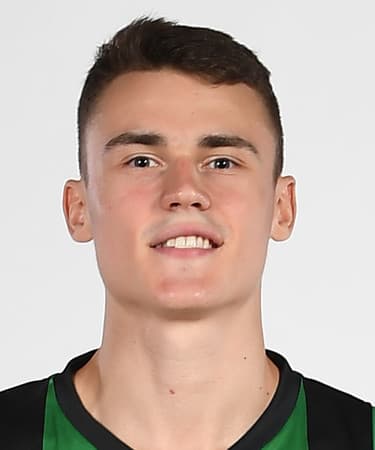 N. Dimitrijevic photo