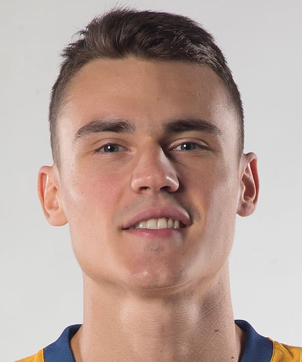 N. Dimitrijevic photo