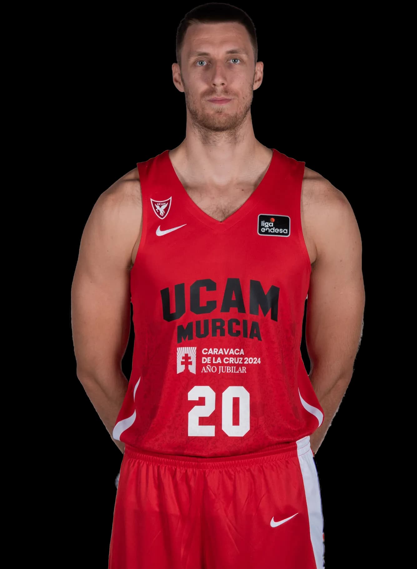 V. Brodziansky photo