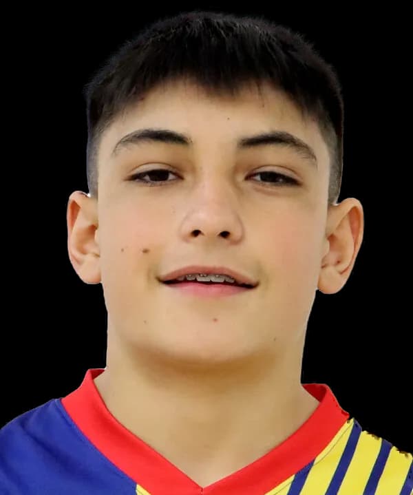 N. Salerno photo