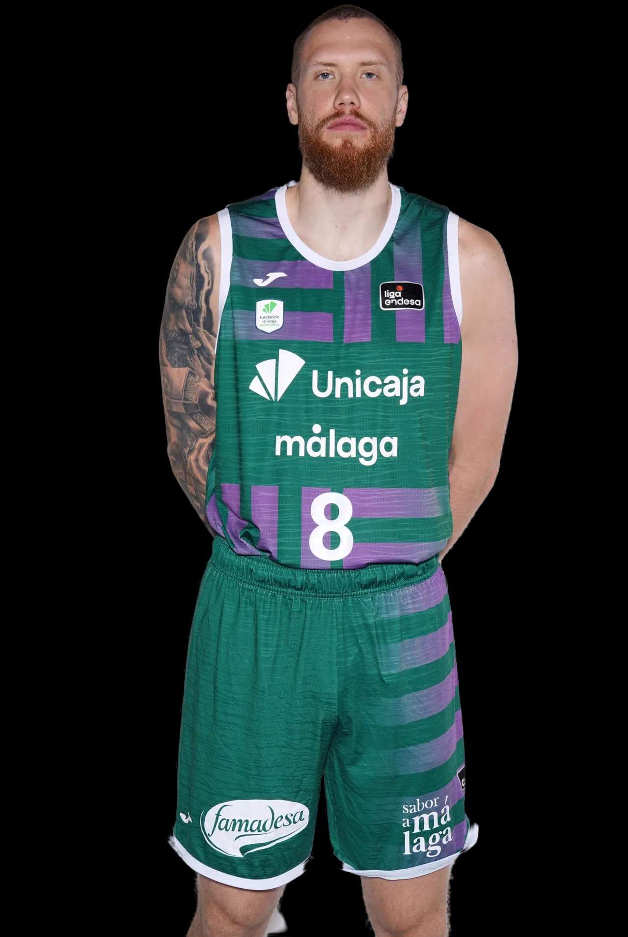 I. Brazdeikis photo