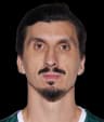 N. Djedovic