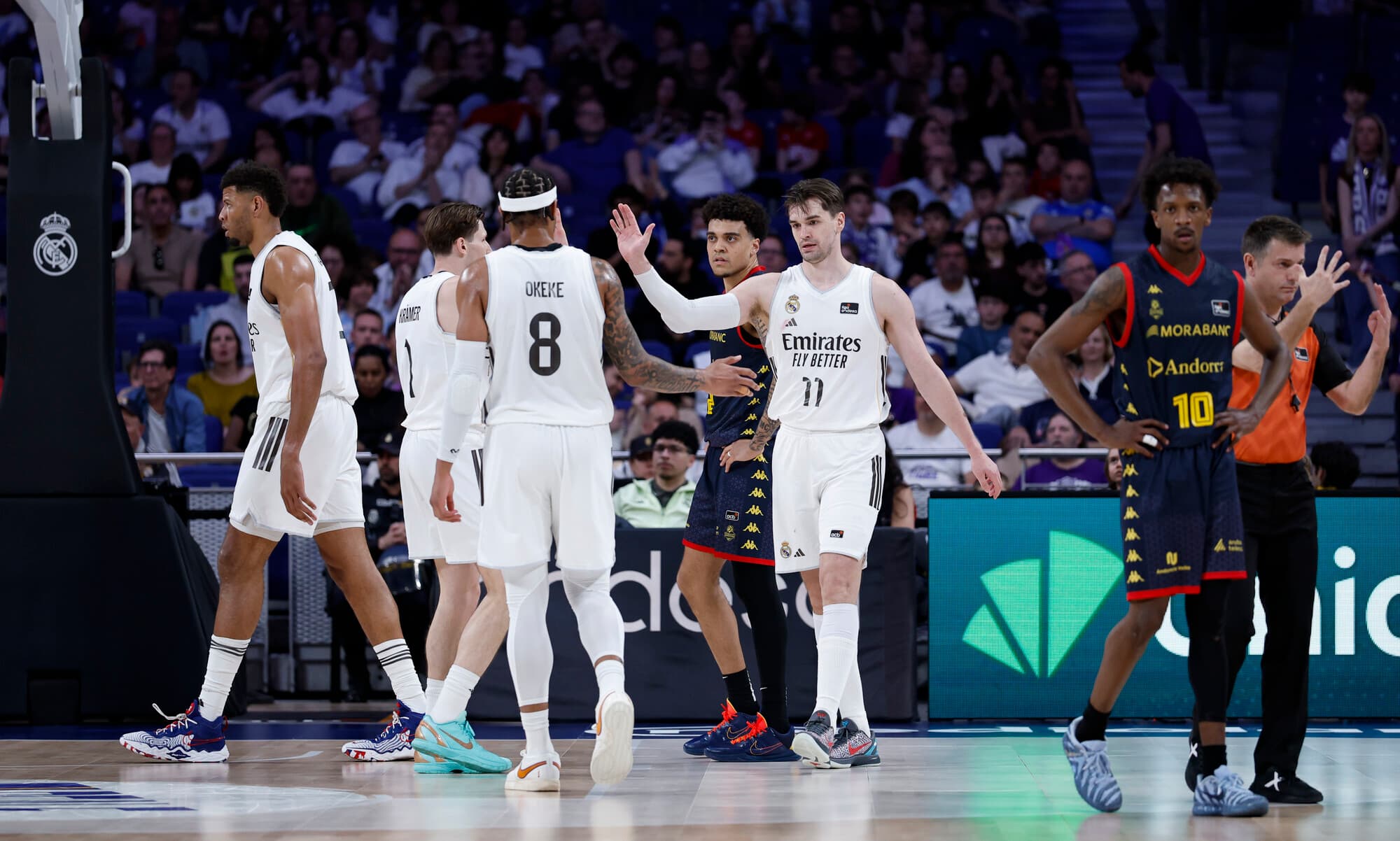 Hezonja celebra una canasta